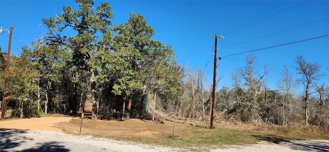 LOT13 Peace Pipe, Smithville, TX 78957 - photo 5
