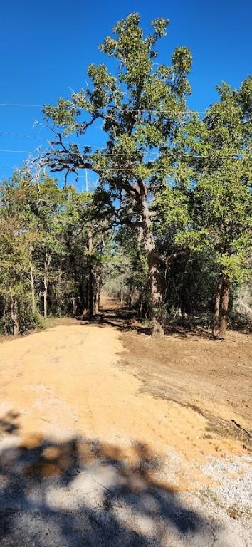 LOT13 Peace Pipe, Smithville, TX 78957 - photo 8