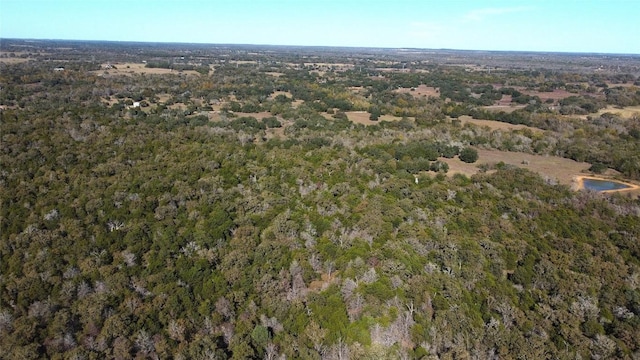 LOT13 Peace Pipe, Smithville, TX 78957 - photo 36