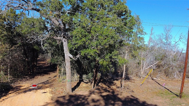 Listing photo 3 for LOT13 Peace Pipe, Smithville TX 78957