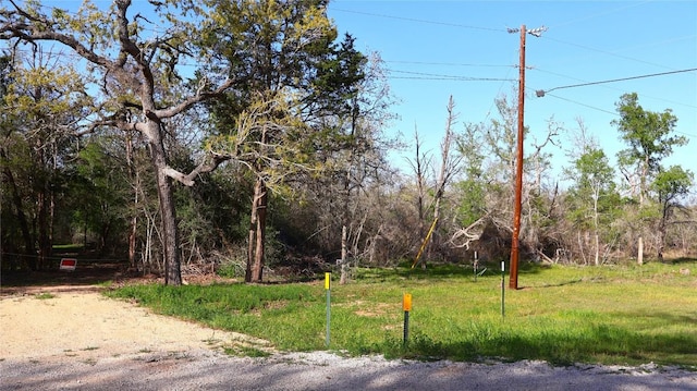 LOT13 Peace Pipe, Smithville, TX 78957 - photo 38