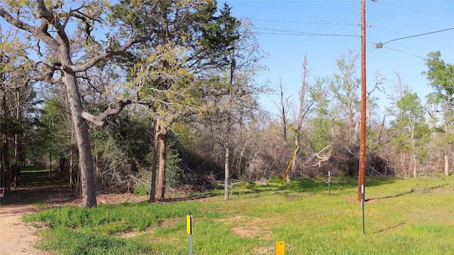 LOT13 Peace Pipe, Smithville, TX 78957 - photo 6