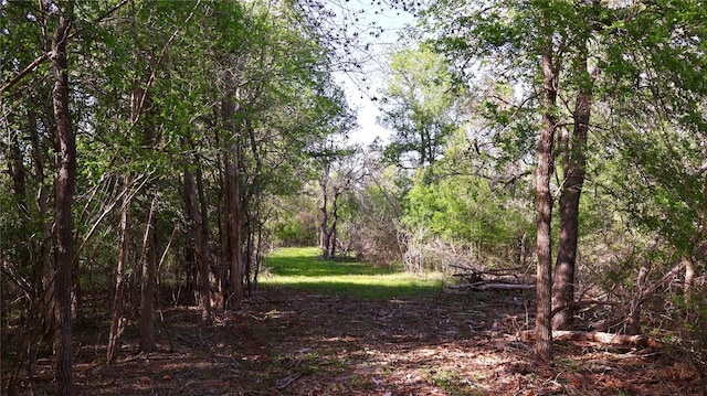LOT13 Peace Pipe, Smithville, TX 78957 - photo 9