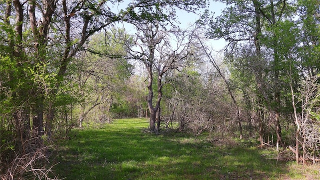 LOT13 Peace Pipe, Smithville, TX 78957 - photo 10