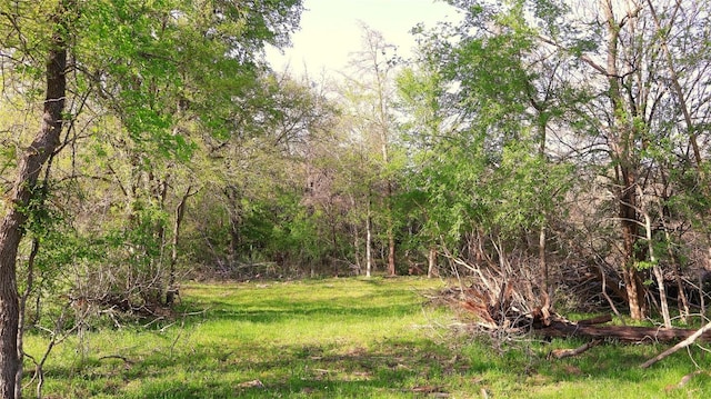LOT13 Peace Pipe, Smithville, TX 78957 - photo 11