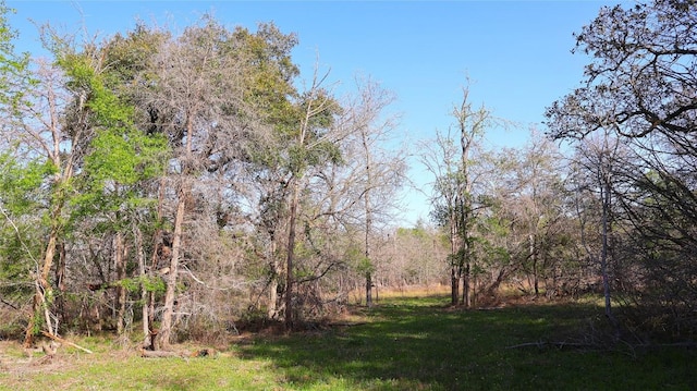 LOT13 Peace Pipe, Smithville, TX 78957 - photo 14