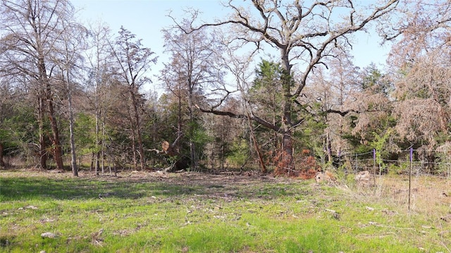 LOT13 Peace Pipe, Smithville, TX 78957 - photo 15