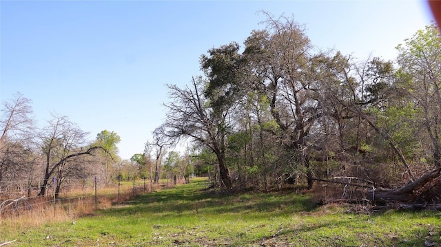 LOT13 Peace Pipe, Smithville, TX 78957 - photo 16