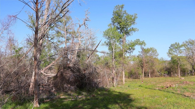LOT13 Peace Pipe, Smithville, TX 78957 - photo 20