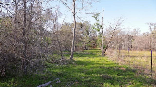 LOT13 Peace Pipe, Smithville, TX 78957 - photo 19