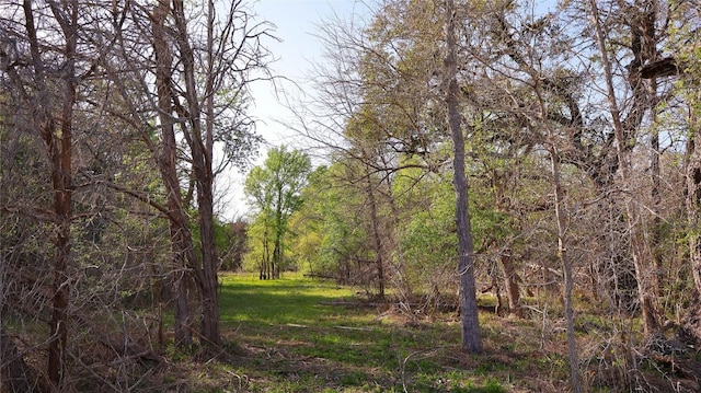 LOT13 Peace Pipe, Smithville, TX 78957 - photo 18
