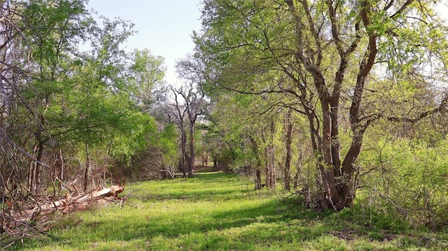 LOT13 Peace Pipe, Smithville, TX 78957 - photo 12
