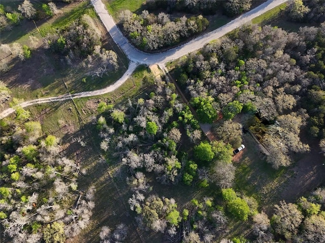 LOT13 Peace Pipe, Smithville, TX 78957 - photo 28