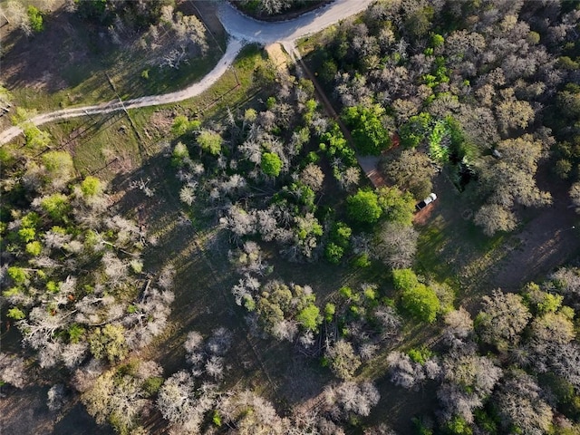 LOT13 Peace Pipe, Smithville, TX 78957 - photo 29