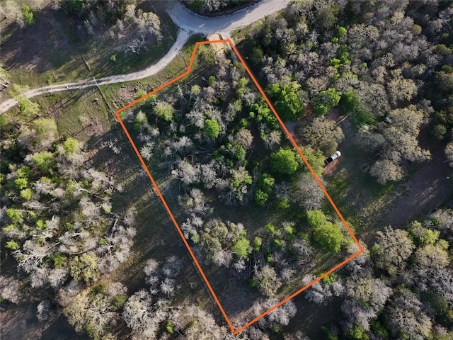 LOT13 Peace Pipe, Smithville, TX 78957 - photo 3