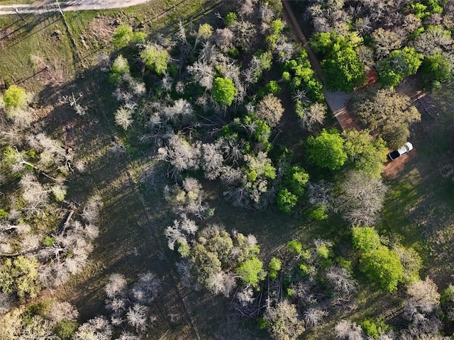 LOT13 Peace Pipe, Smithville, TX 78957 - photo 26