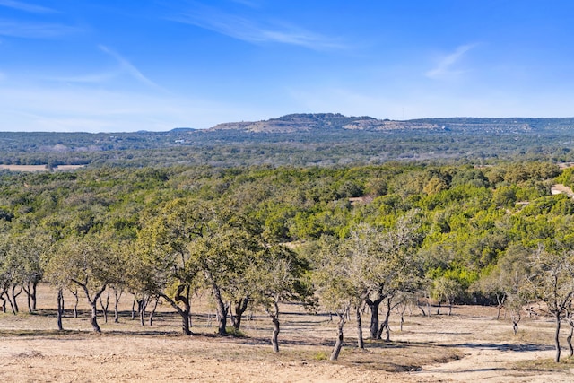 property view of mountains featuring a rural view