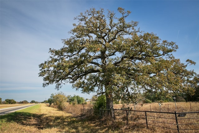 4254 Fm 180th Rd, Ledbetter TX, 78946 land for sale