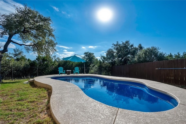 view of swimming pool