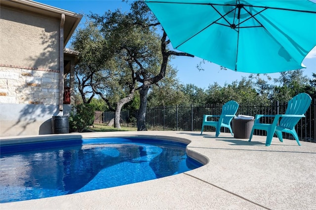 view of pool with a patio area