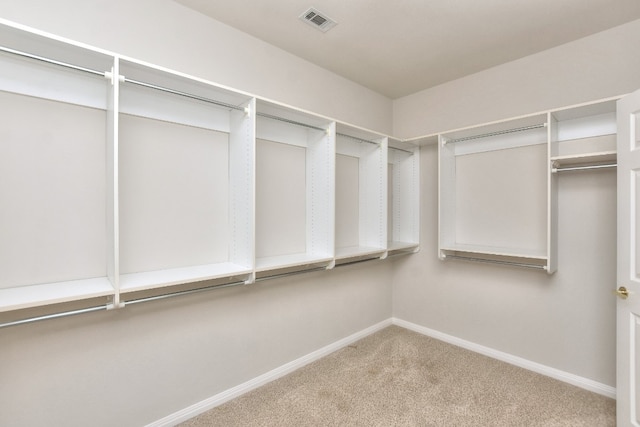 walk in closet featuring carpet flooring