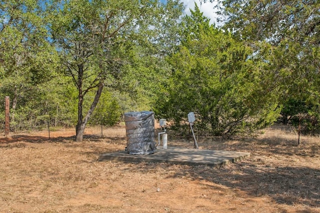 192 Carmen Hill Ln, Bastrop, TX 78602 - view of yard