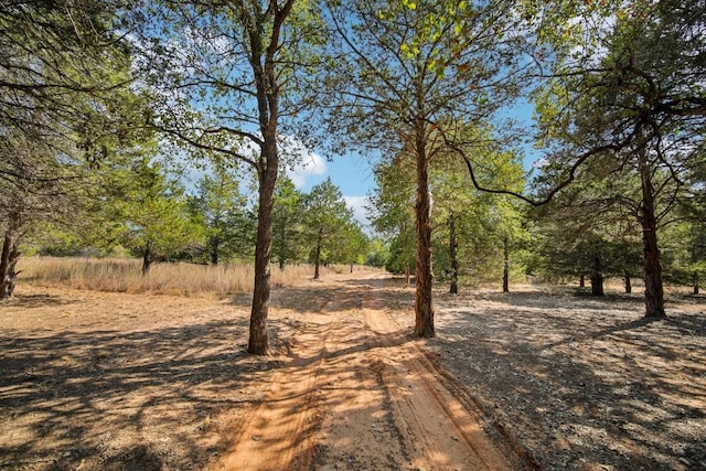 192 Carmen Hill Ln, Bastrop, TX 78602 - view of yard