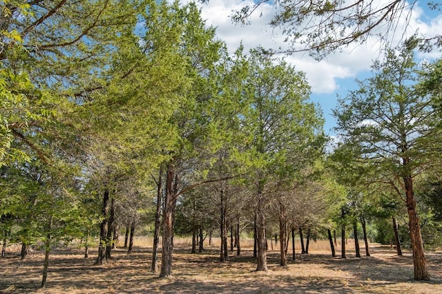 192 Carmen Hill Ln, Bastrop, TX 78602 - view of nature