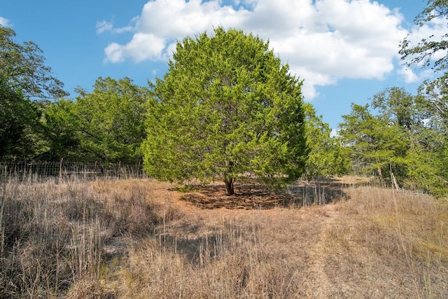 192 Carmen Hill Ln, Bastrop, TX 78602 - view of tree filled area