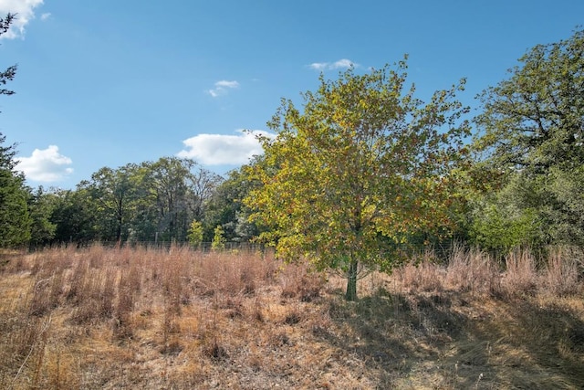 192 Carmen Hill Ln, Bastrop, TX 78602 - view of woods