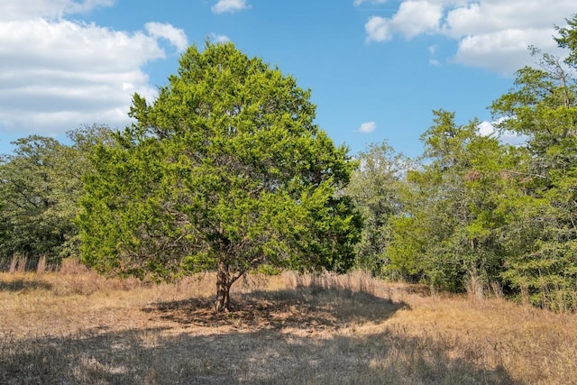 192 Carmen Hill Ln, Bastrop, TX 78602 - view of wooded area