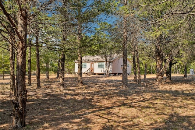 192 Carmen Hill Ln, Bastrop, TX 78602 - view of yard with entry steps