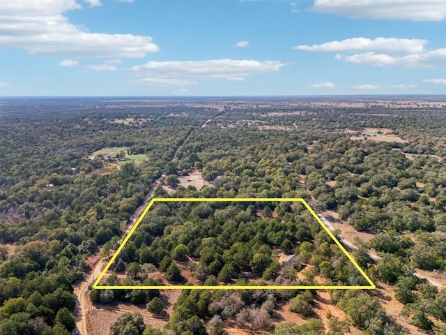 192 Carmen Hill Ln, Bastrop, TX 78602 - aerial view of property and surrounding area featuring a heavily wooded area and property parcel outlined