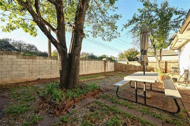 view of yard featuring a patio area