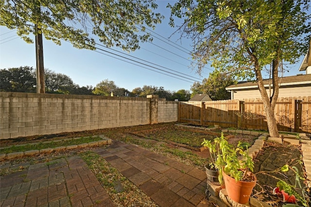 view of yard featuring a patio area