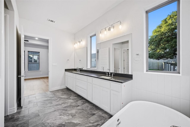 bathroom featuring vanity and a bathing tub