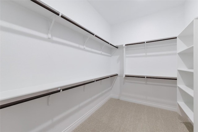 walk in closet featuring carpet floors