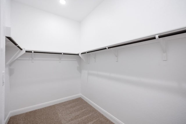 1509 Jay Wolf, Georgetown, TX 78628 - spacious closet featuring carpet flooring
