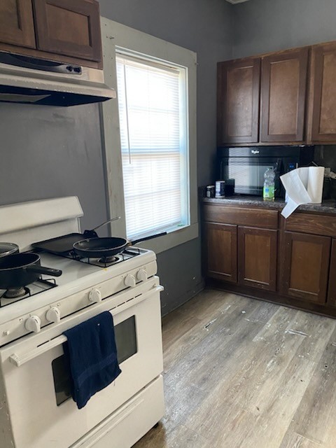 kitchen with white gas range oven, light hardwood / wood-style floors, dark brown cabinetry, and a healthy amount of sunlight