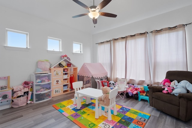 rec room featuring ceiling fan and wood-type flooring