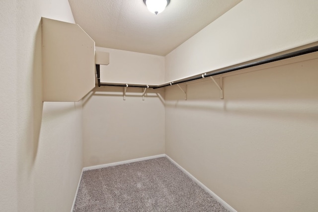 spacious closet featuring carpet flooring