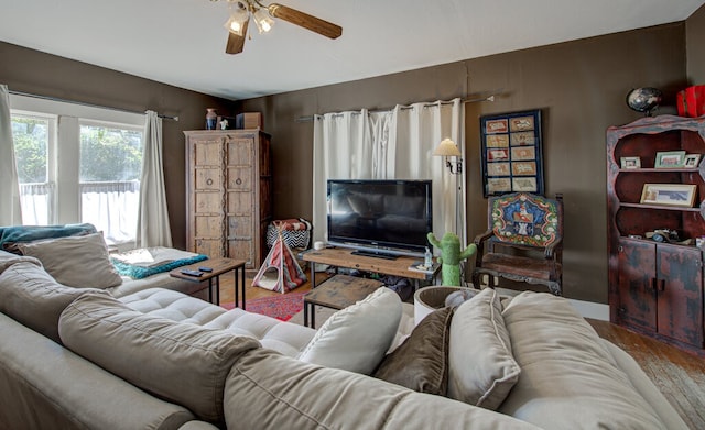 living room with ceiling fan and wood-type flooring