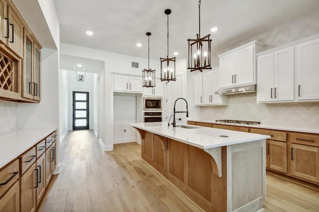 kitchen featuring appliances with stainless steel finishes, a sink, under cabinet range hood, light wood-style floors, and backsplash