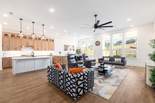 living room with ceiling fan and wood-type flooring