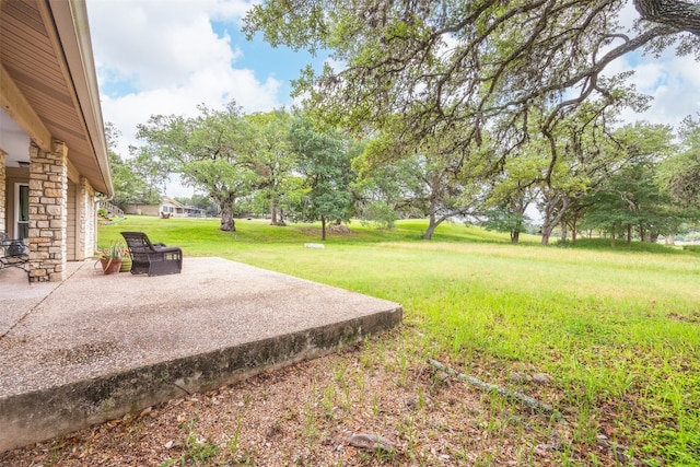 view of yard featuring a patio