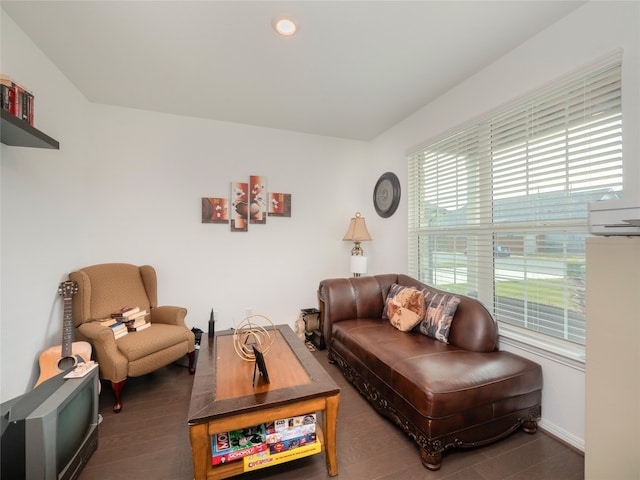 living room with dark wood-type flooring