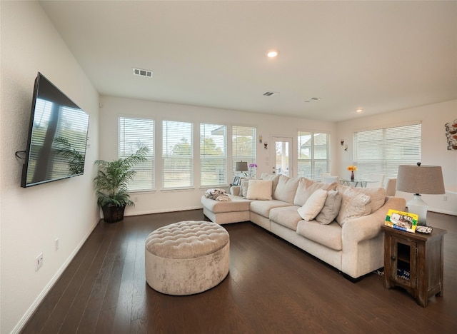 living room with dark hardwood / wood-style flooring and a healthy amount of sunlight