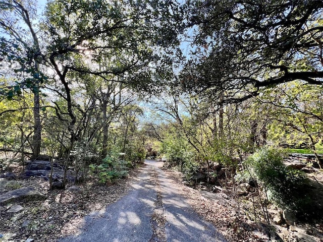 8915 Fairway Hill Dr, Austin, TX 78750 - view of street featuring a forest view