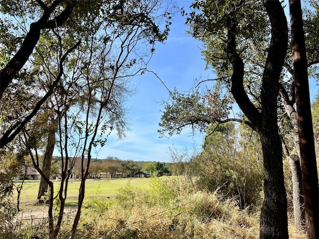 view of landscape