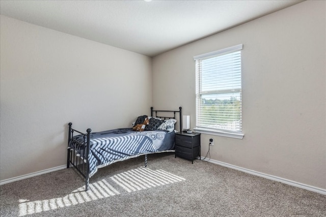 carpeted bedroom with multiple windows